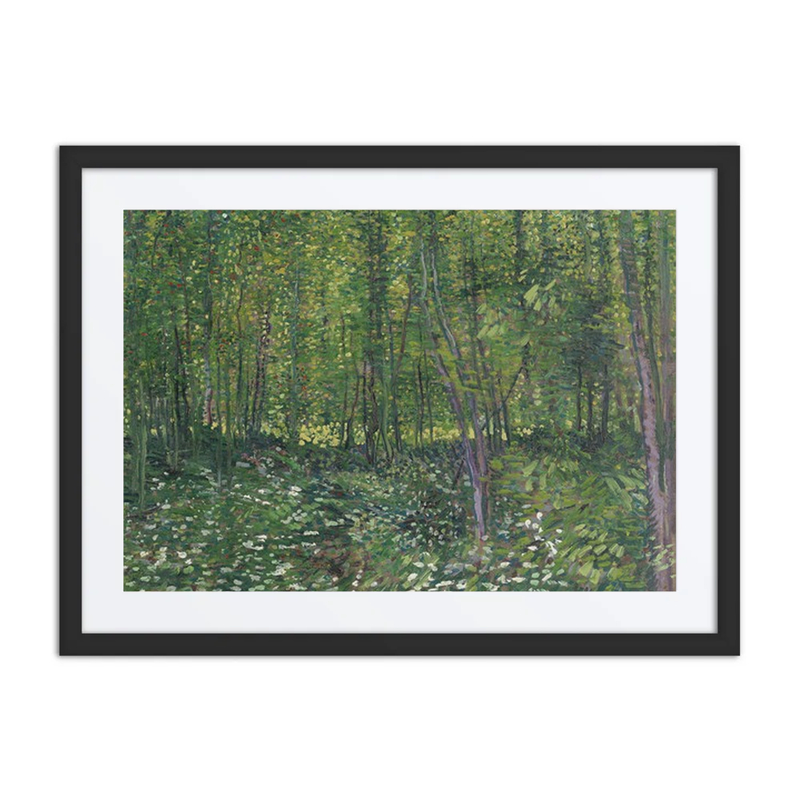Trees and Undergrowth