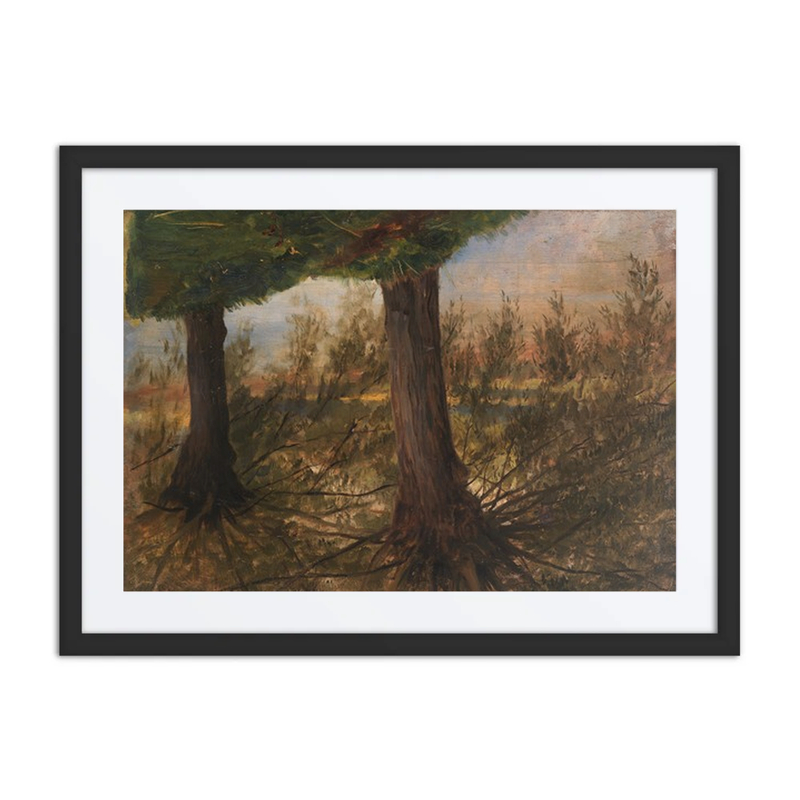 Trees Beside a Stream