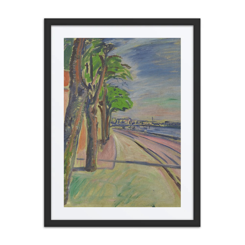 Trees by the Canal
