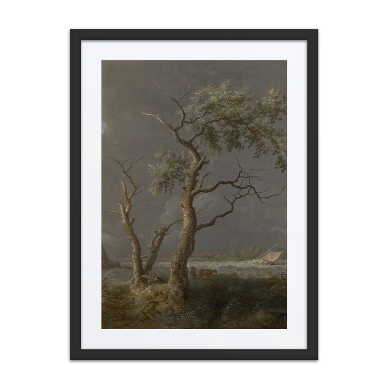 Trees by the Water