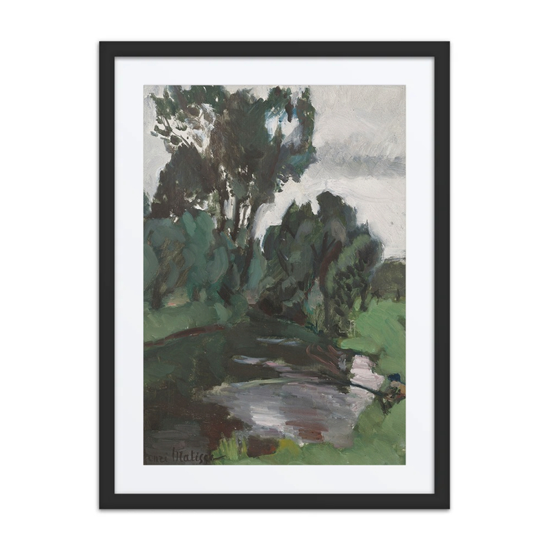 Trees by the Water