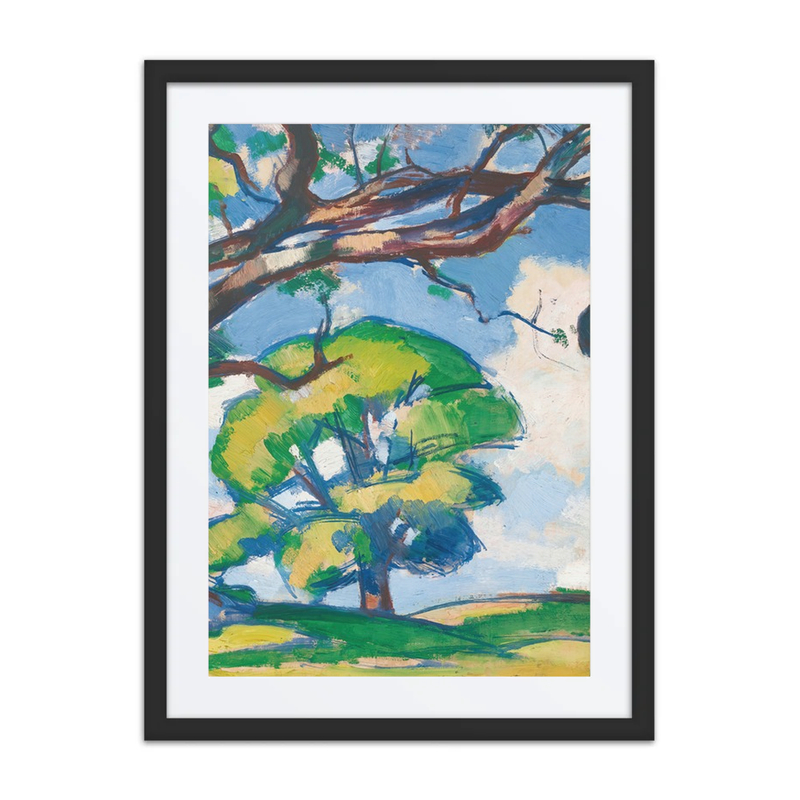 Trees, Douglas Hall