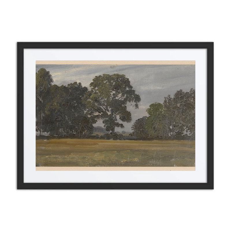 Trees in an Oder Valley Meadow