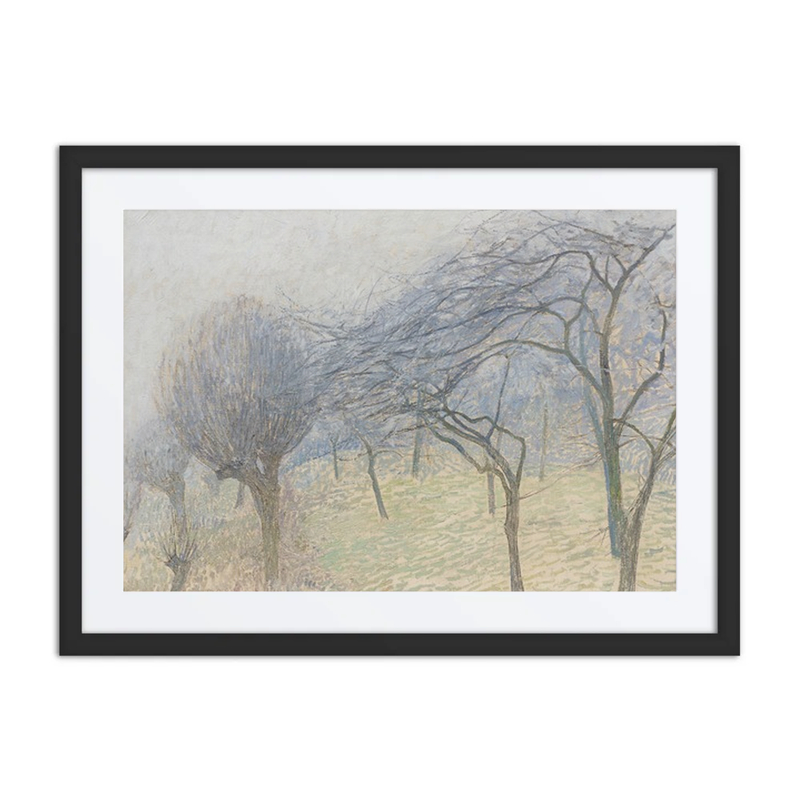 Trees in Fog