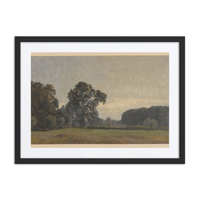 Trees in the Oder Valley