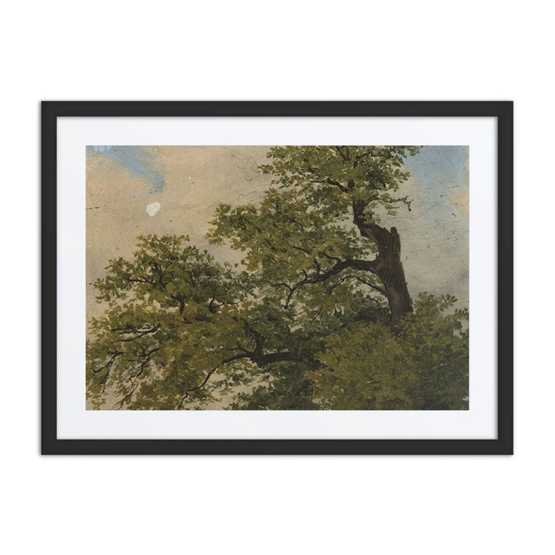 Trees
