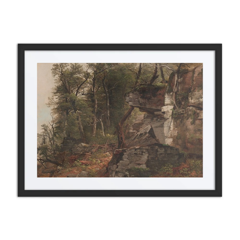 Trees on a Rocky Hillside