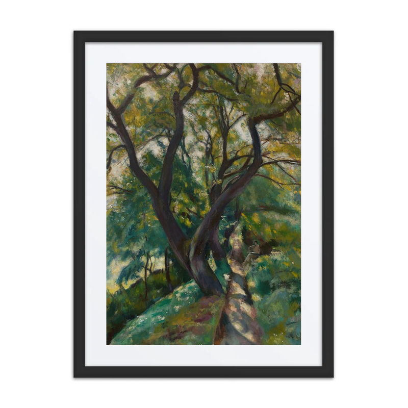Trees