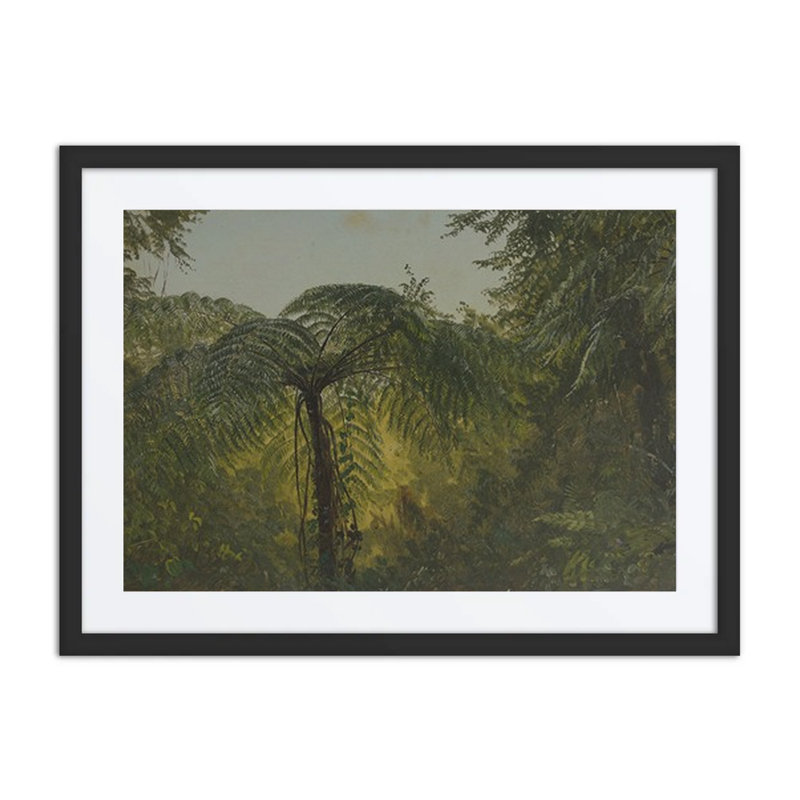 Tropical Landscape