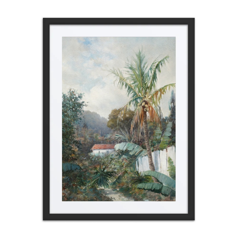 Tropical Landscape
