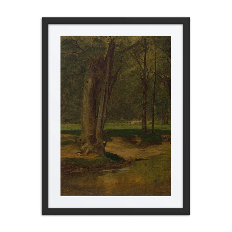 Trout Stream, North Conway