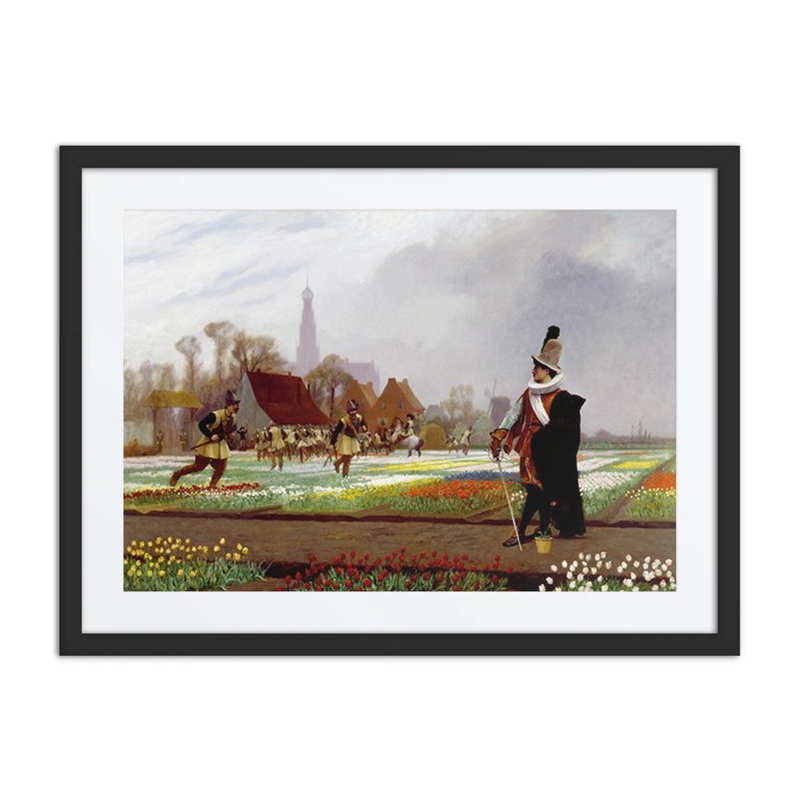 Tulip Mania