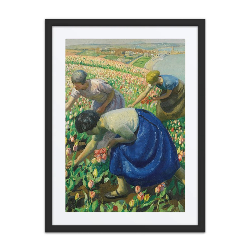 Tulip Pickers