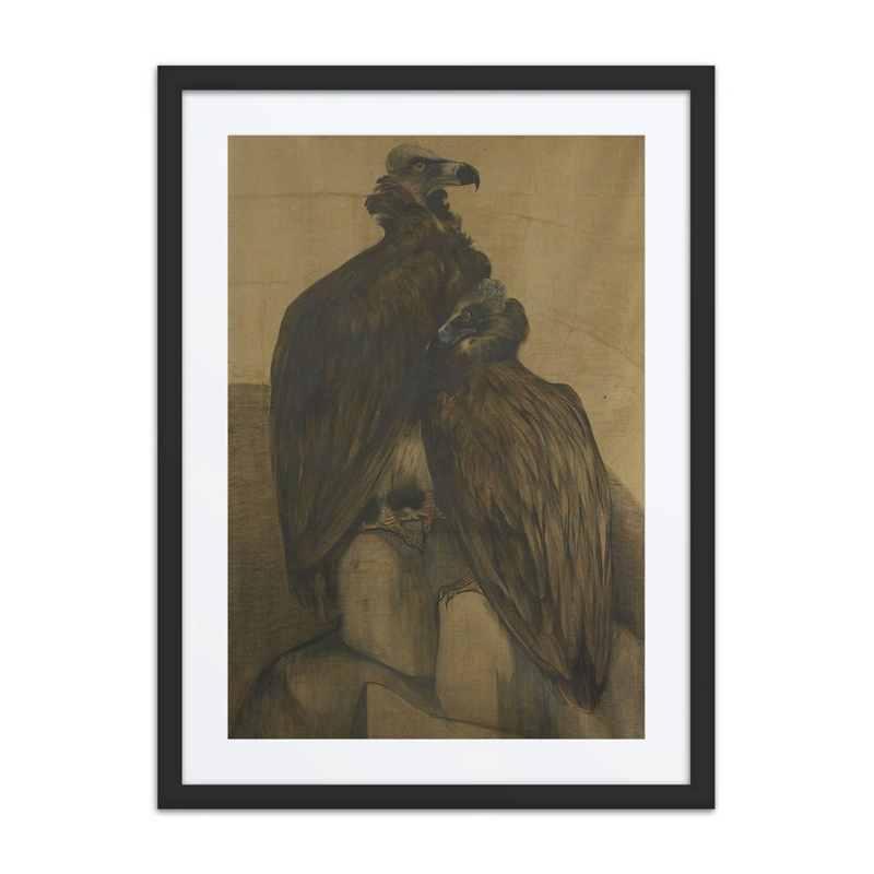 Two Arabian Vultures