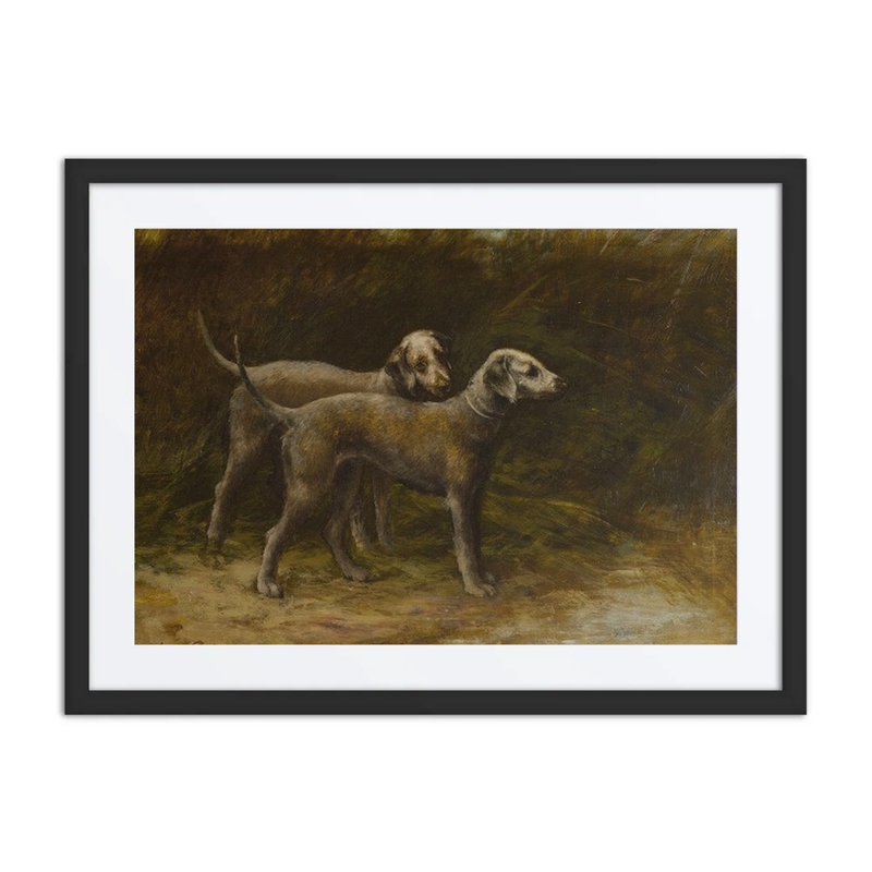 Two Bedlington Terriers
