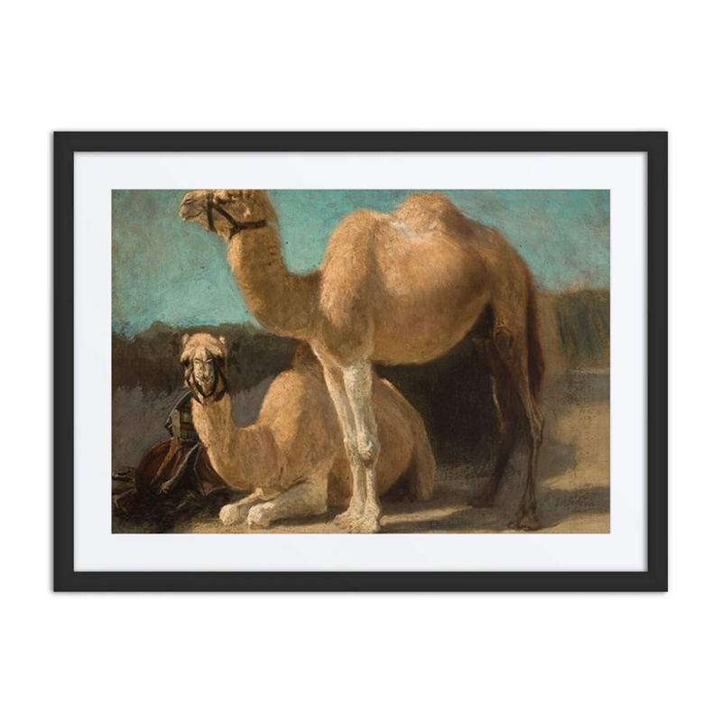 Two Camels