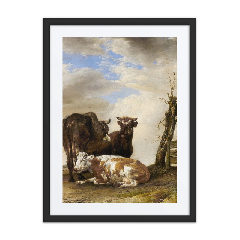 Two Cows and a Young Bull Beside a Fence in a Meadow