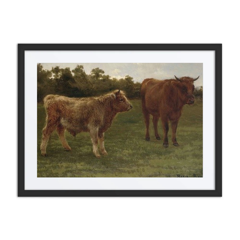 Two Cows Grazing