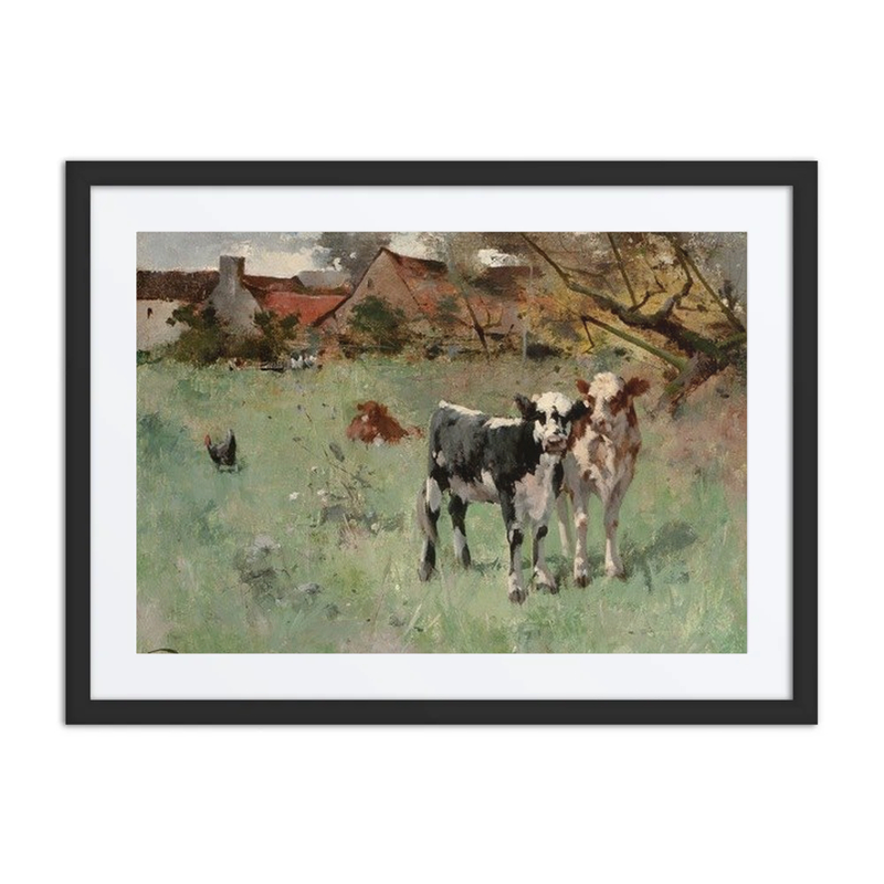 Two Cows in a Pasture
