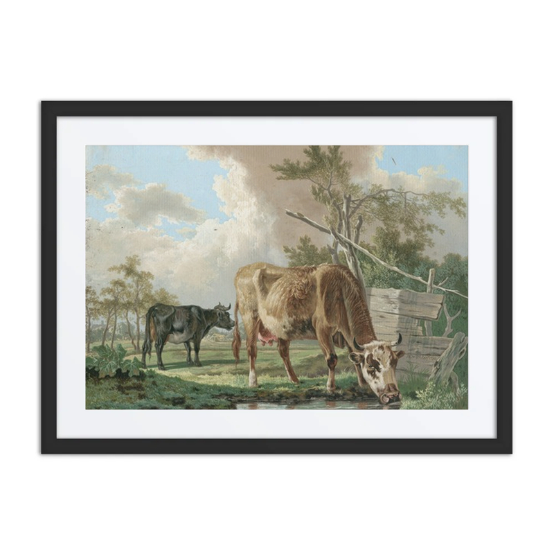 Two Cows Near a Pond