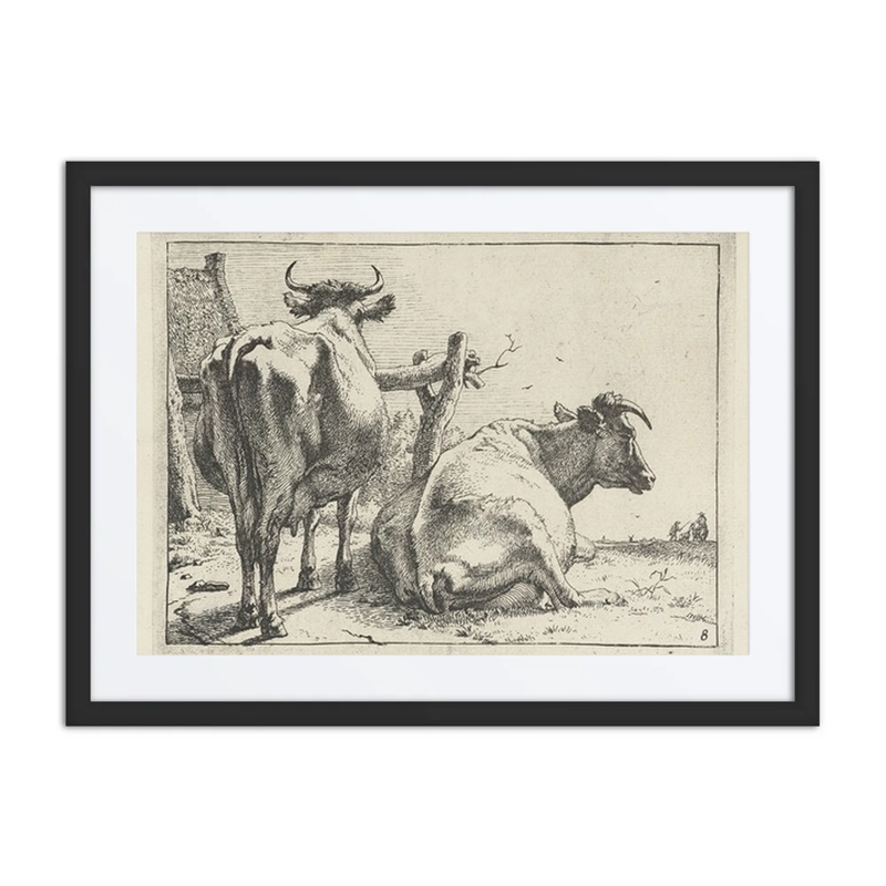 Two Cows Seen from Behind