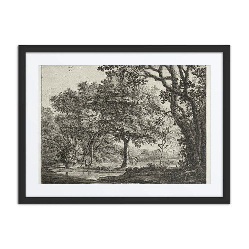 Two Deer in a Forest