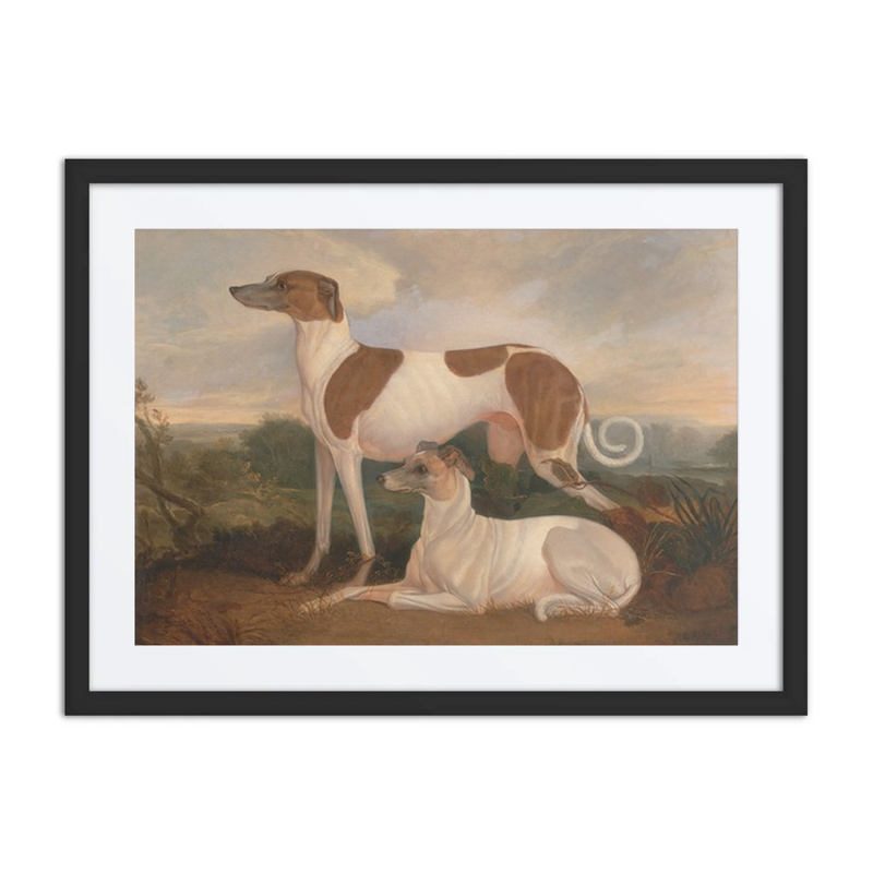 Two Greyhounds in a Landscape