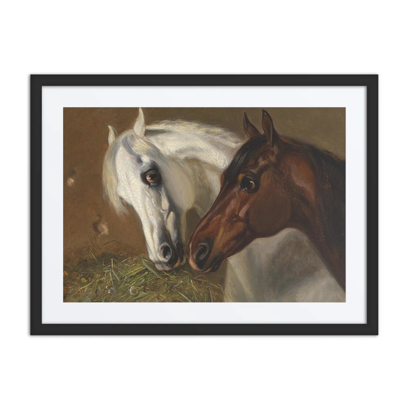 Two Horse Heads