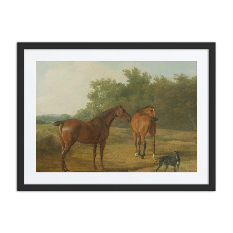 Two Horses and a Greyhound