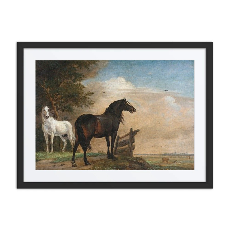 Two Horses in a Meadow