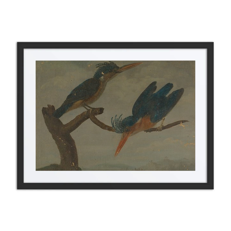 Two Kingfishers Beside a Lake.
