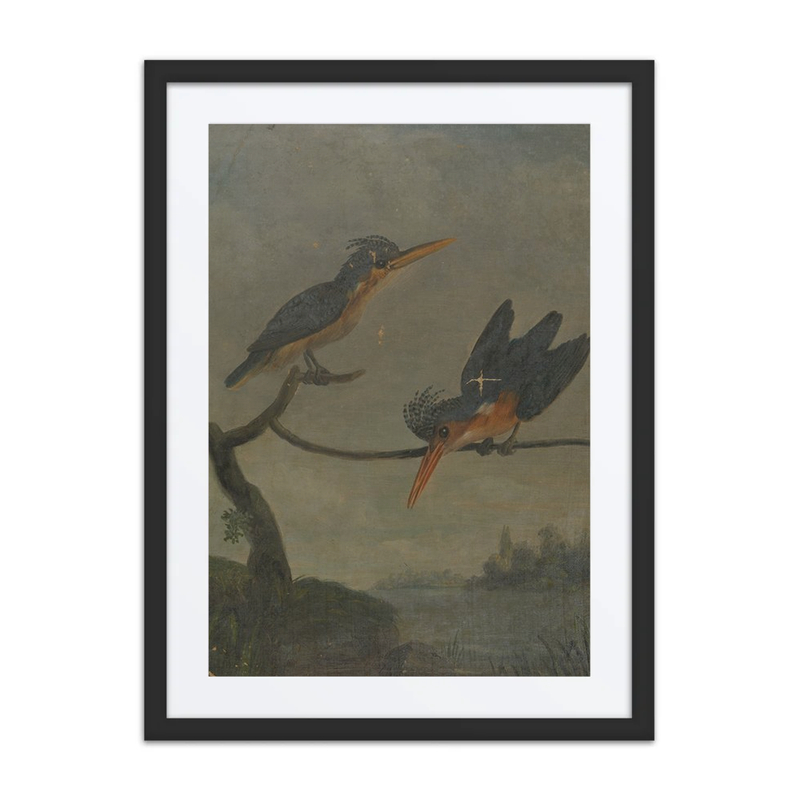 Two Kingfishers by a Lake