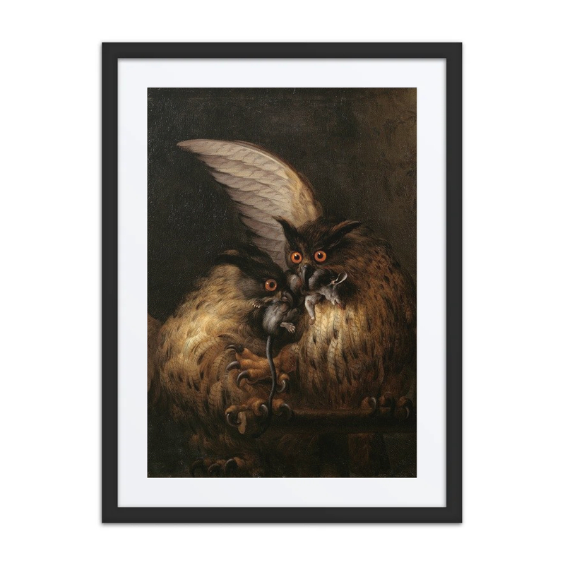 Two Owls Fighting over a Rat