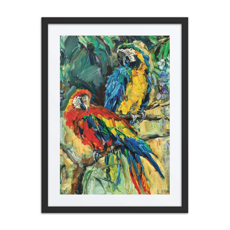 Two Parrots from Bali