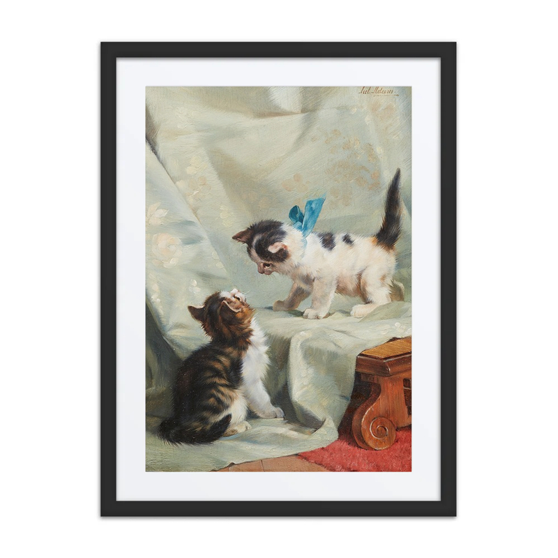 Two Playing Kittens