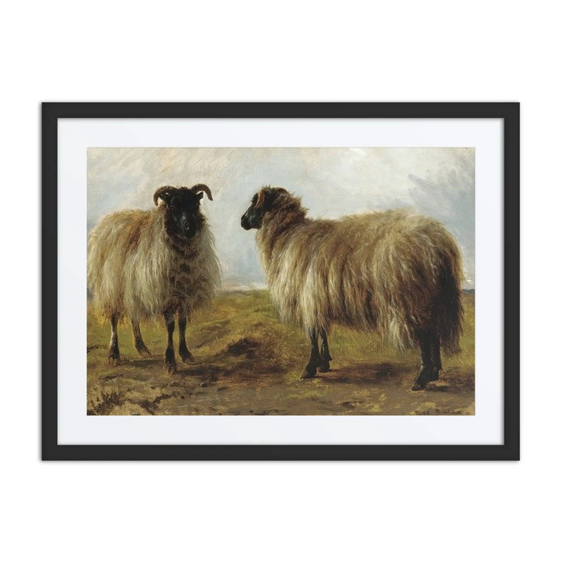 Two Rams in a Landscape
