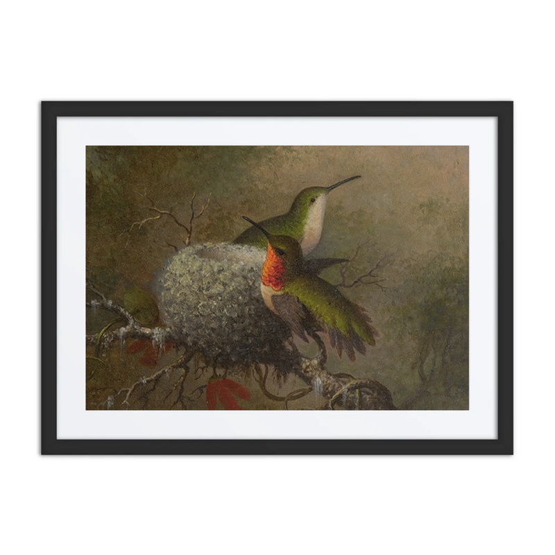 Two Ruby-Throats by Their Nest