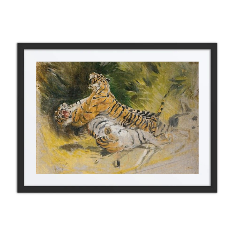 Two Tigers Fighting
