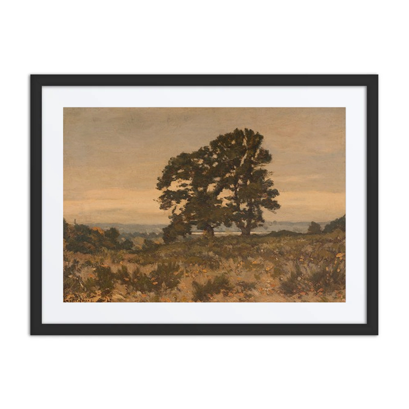 Two Trees at the Forest Edge