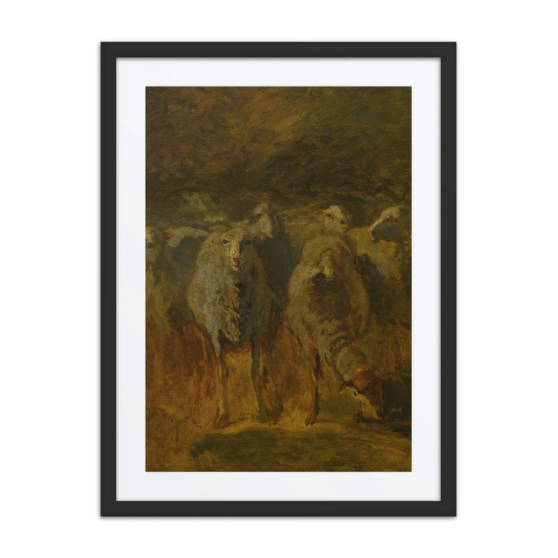 Unfinished Study of Sheep