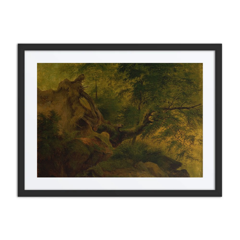 Uprooted Tree (Windthrow)