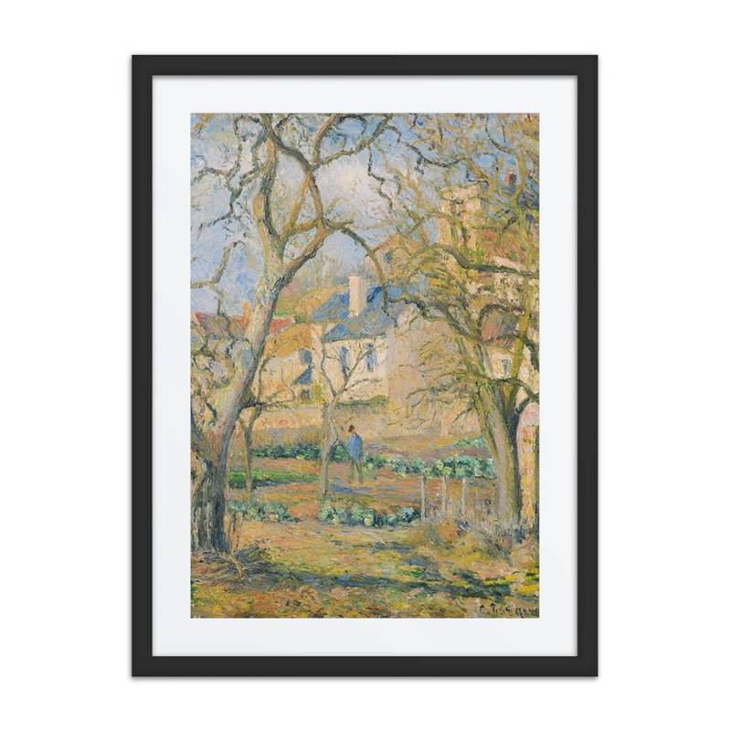 Vegetable Garden