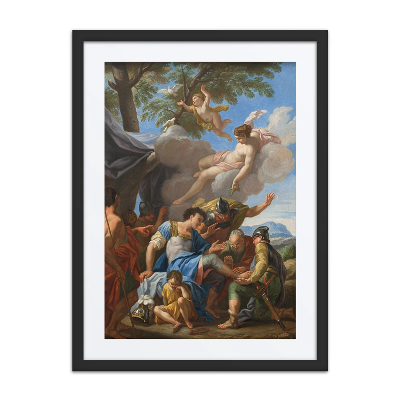 Venus Bringing Simples for the Wounded Aeneas