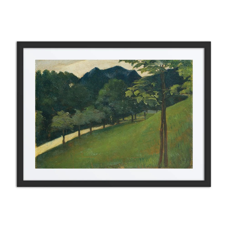 View from a Green Slope Towards an Avenue