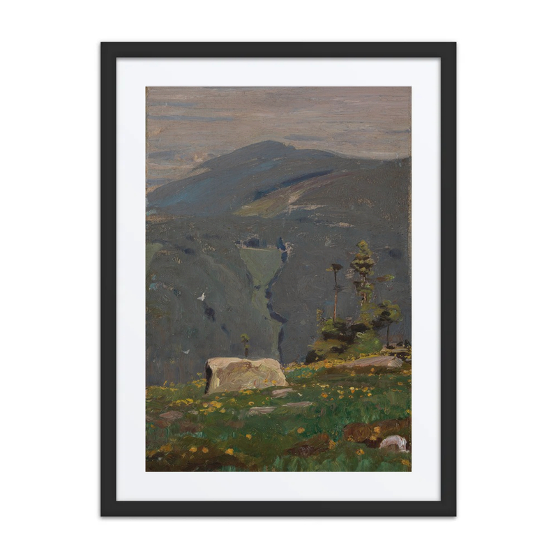 View from Hornisgrinde