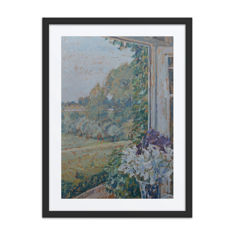 View from the Window