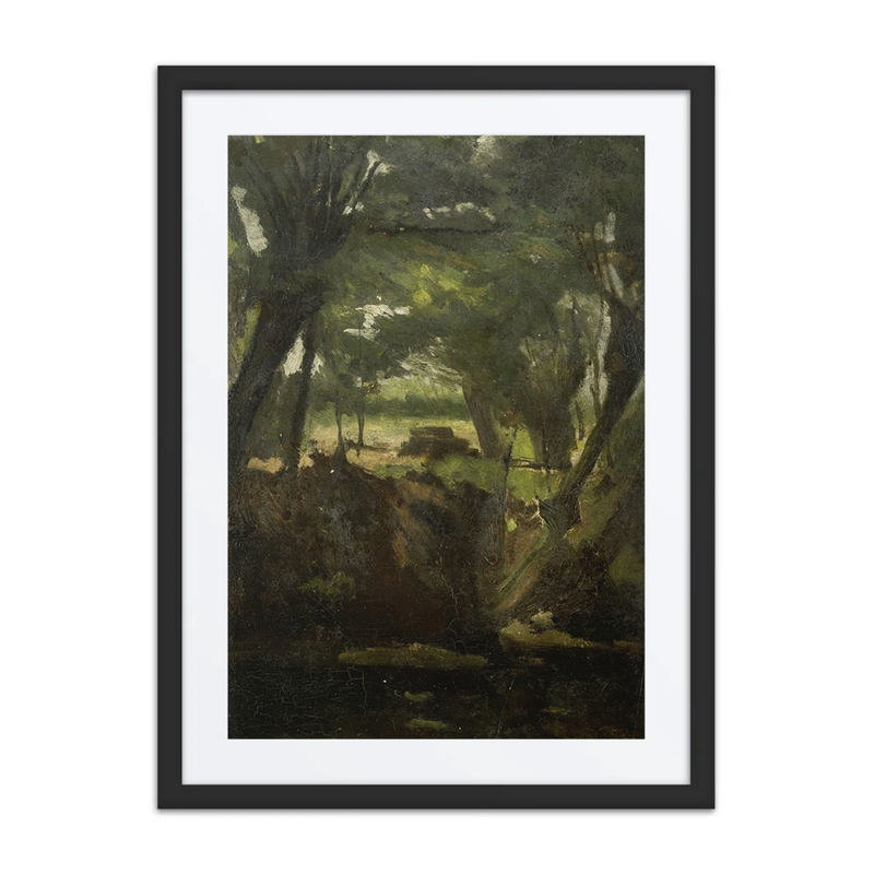 View in the Woods