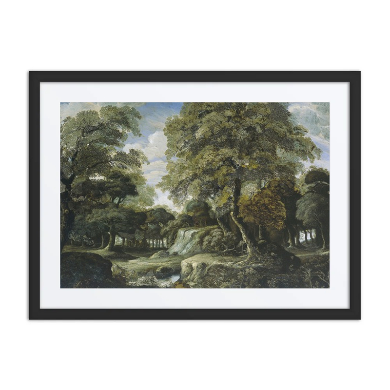 View in the Woods