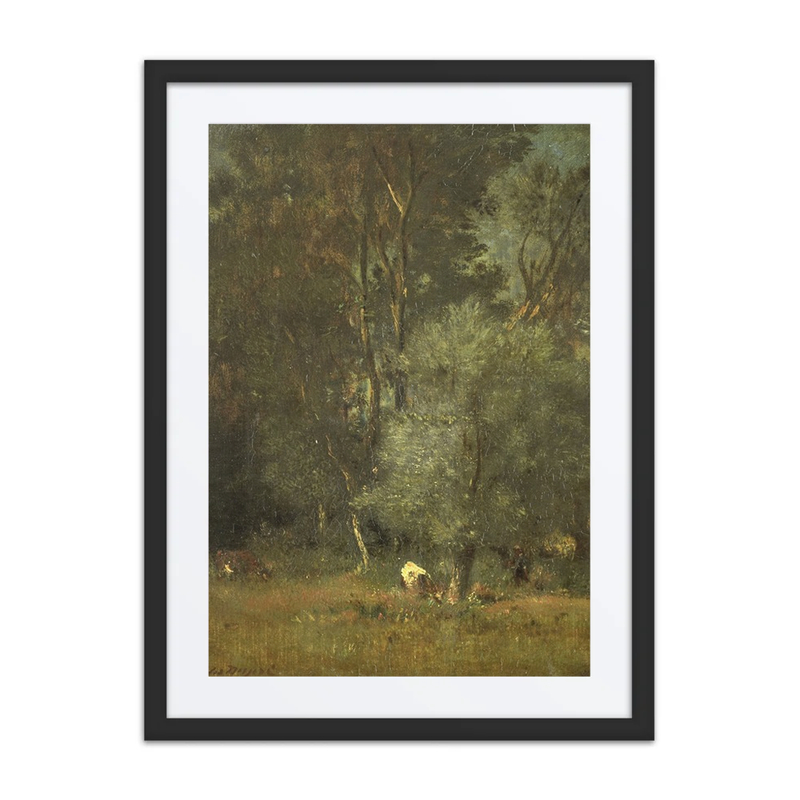 View in the Woods