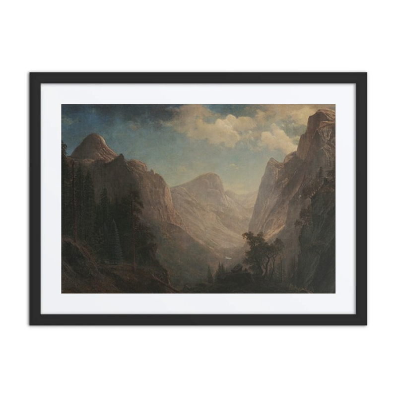 View in the Yosemite Valley